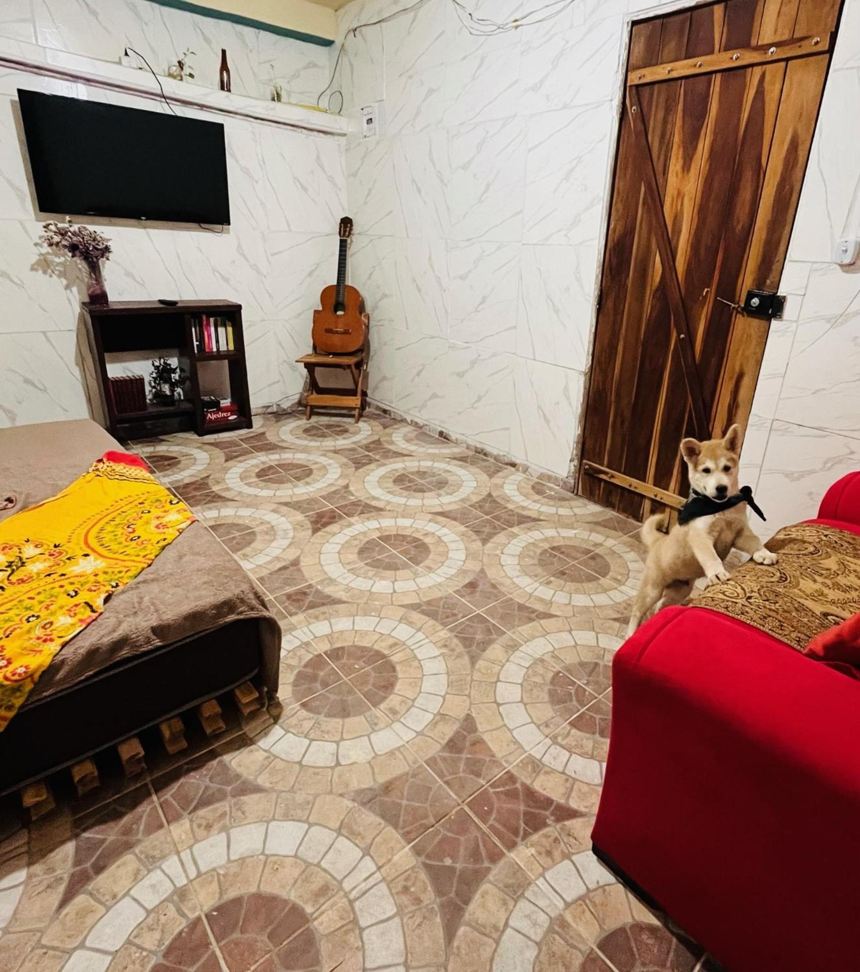לנסויס Multiverso Hostel מראה חיצוני תמונה